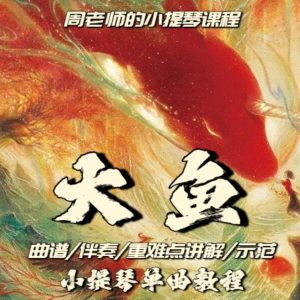 大鱼课程